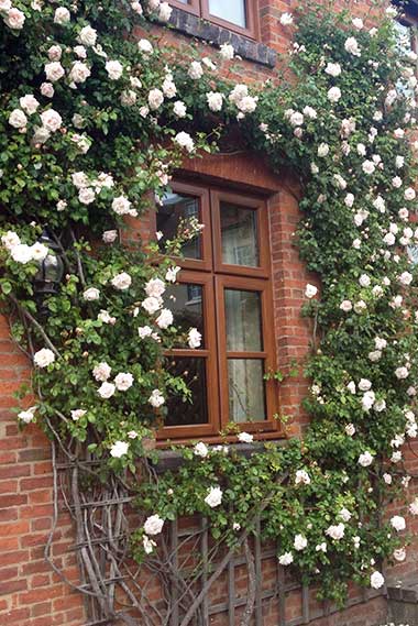 Creating bespoke timber windows for you